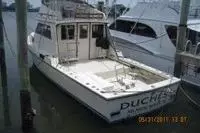 Duchess - 38' Delta