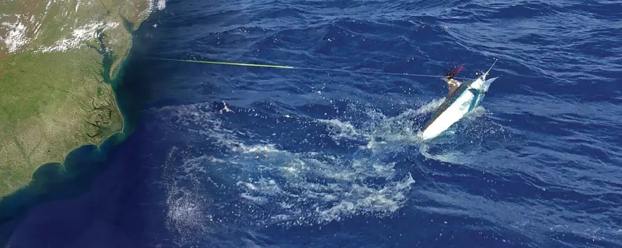 Mid-Atlantic Tournaments Offer Up World-Class Marlin Fishing