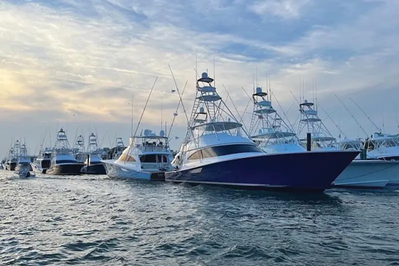 White Marlin Fever has Taken Over Ocean City, Latest News