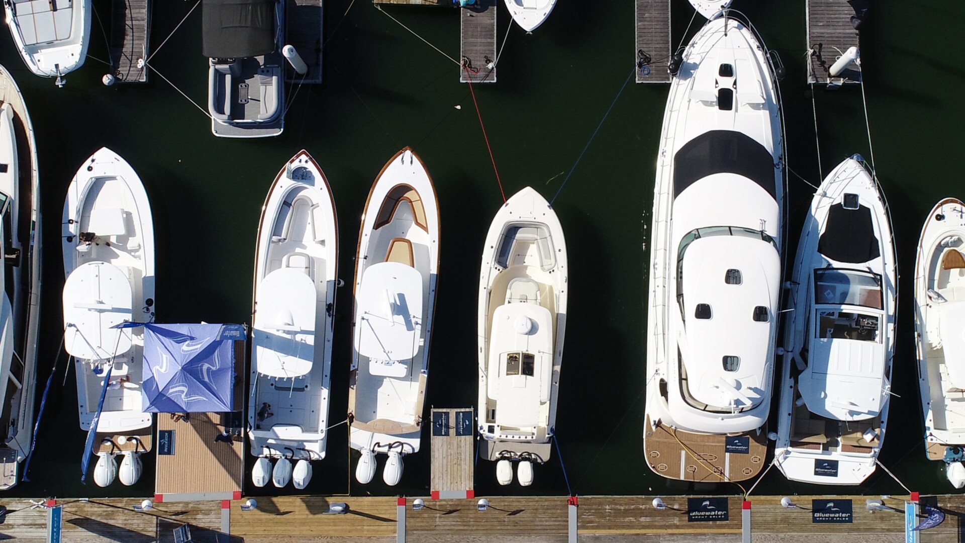 2024 Bay Bridge Boat Show Bluewater Yacht Sales 2024-bay-bridge-boat-show-bluewater-yacht-sales